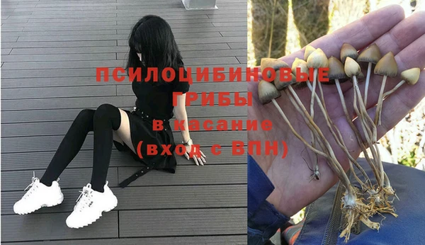 Альфа ПВП Беломорск
